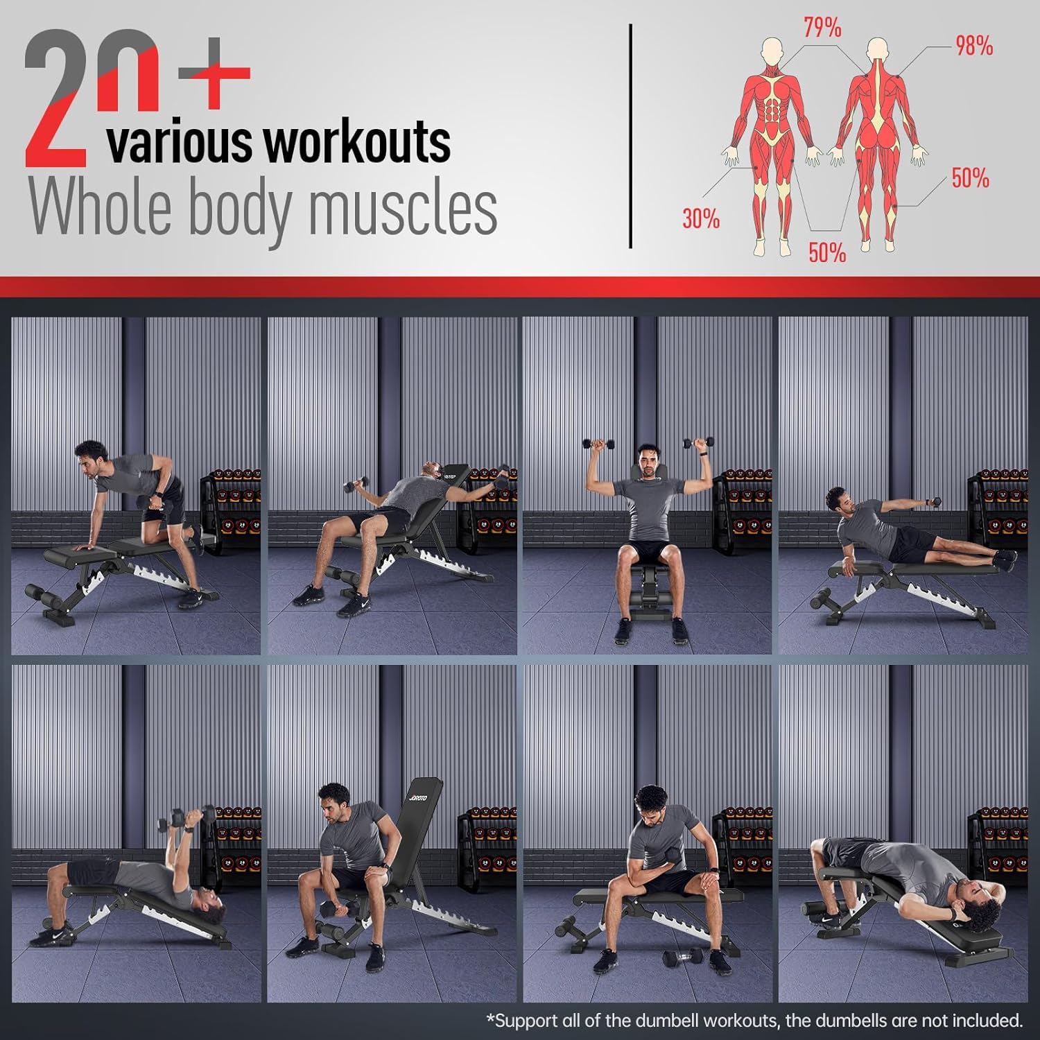 Thumbnail 5 de JOROTO MD60 verstellbare Hantelbank (klappbar) mit 360 kg Tragfähigkeit – Schrägbank fürs Heimtraining