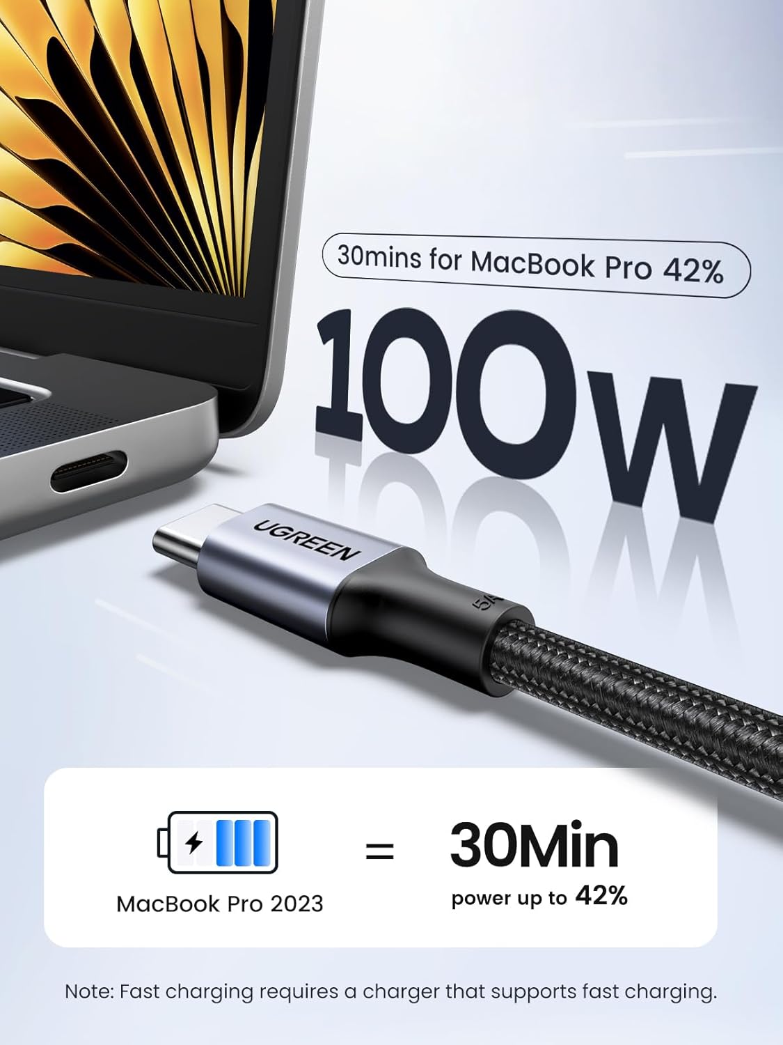 Detalle 2 de UGREEN 2 Pack USB C to USB C 100W cable