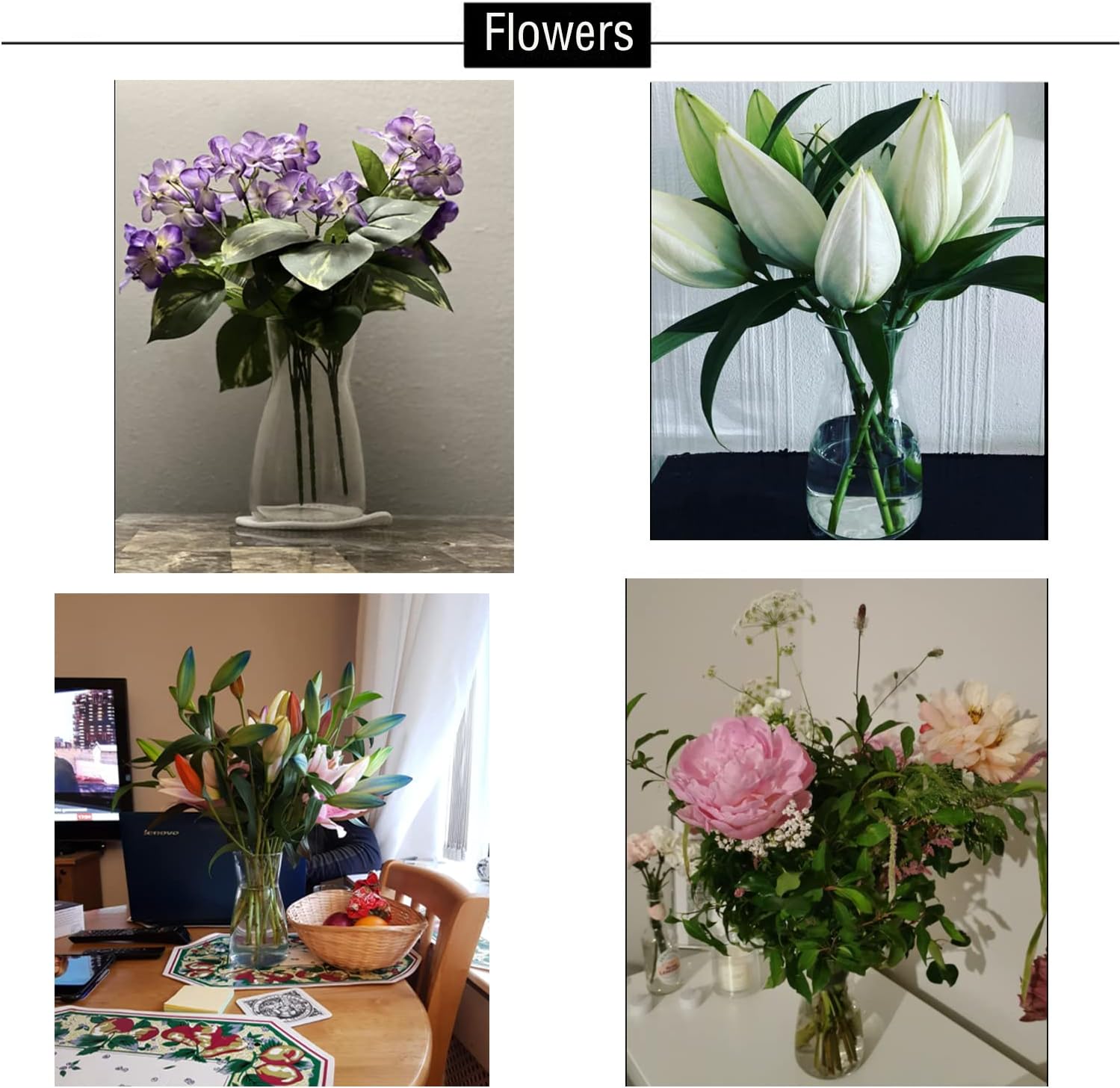 Thumbnail 6 de DARENYI Glass Vase 20cm Clear: A versatile bloom display