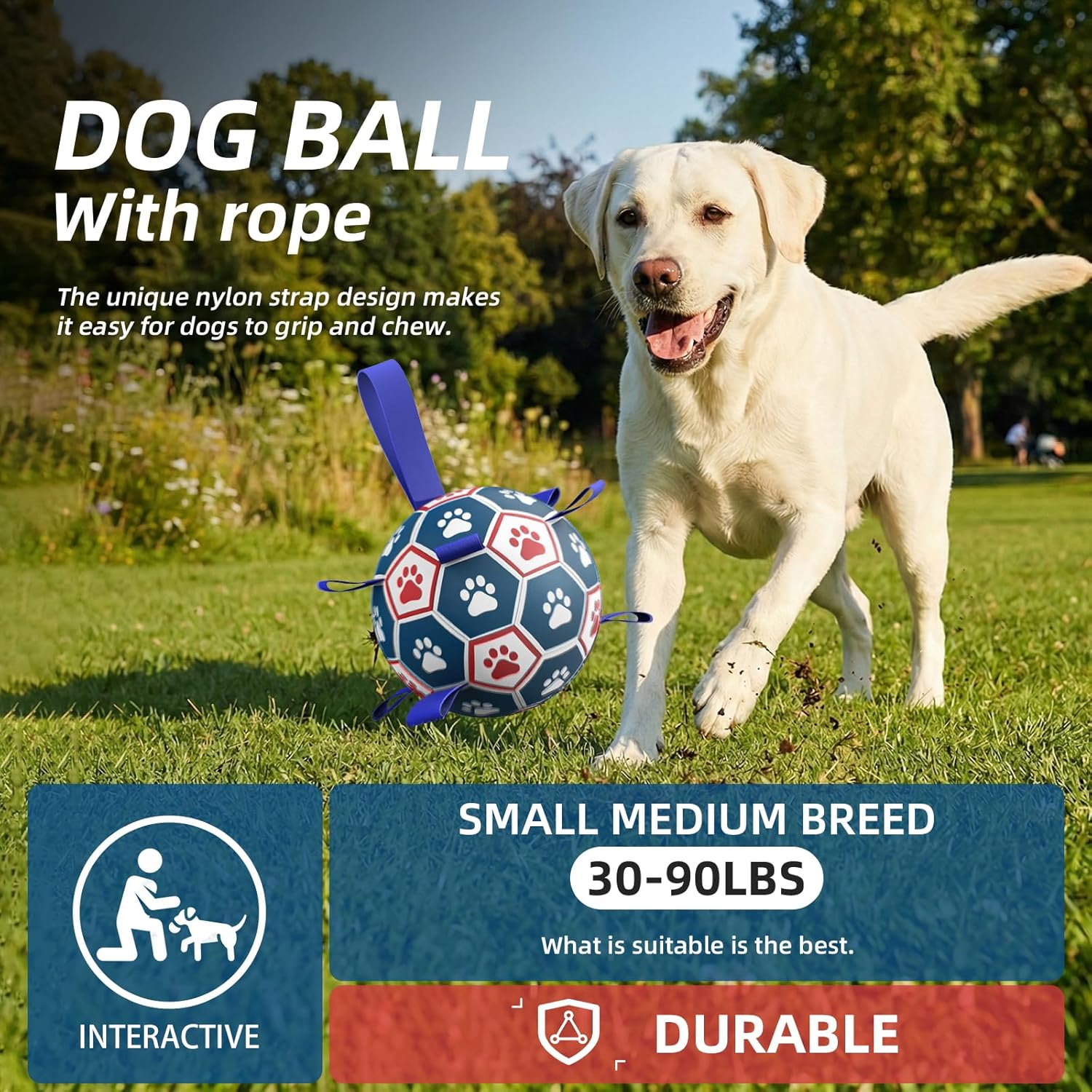 Thumbnail 1 de HETOO Dog Ball Toy Dog Football (8 Inch) – Interactive bouncy ball with webbing for indoor & outdoor play