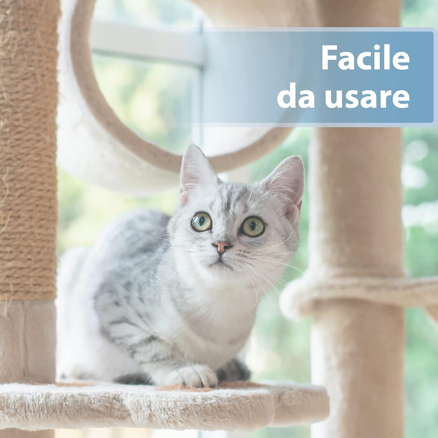 Detalle de Felisept Salviette Da Dito per la Cura delle Orecchie per Gatti – 50 Pezzo