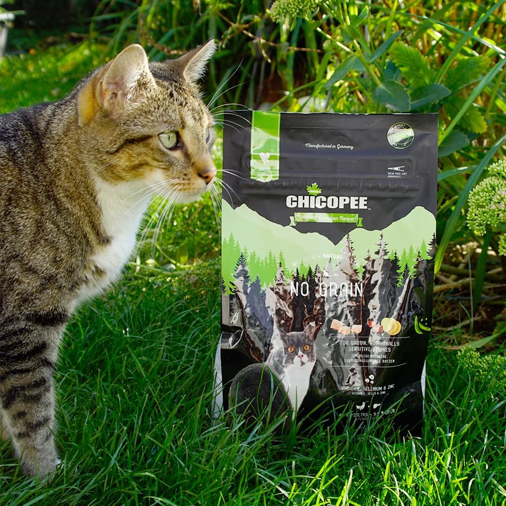 Thumbnail 6 de Chicopee Holistic Nature Line Adult No Grain Katzenfutter trocken – Geflügel & Leber, getreidefrei, 8 kg