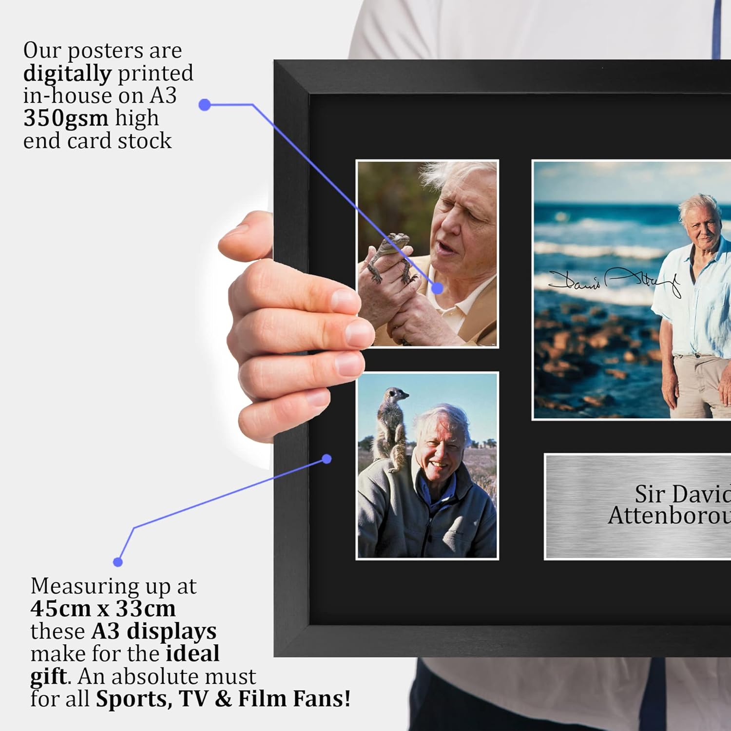 Thumbnail 2 de HWC Trading Sir David Attenborough FR A3 framed printed & signed autograph picture (330x445mm)