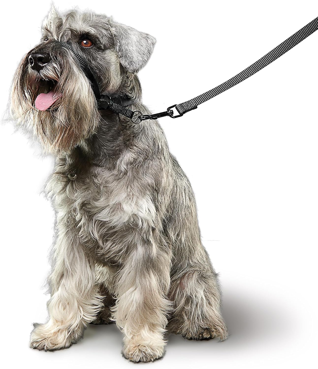 Detalle de BEAPHAR Gentle Leader Hundehalfter S schwarz