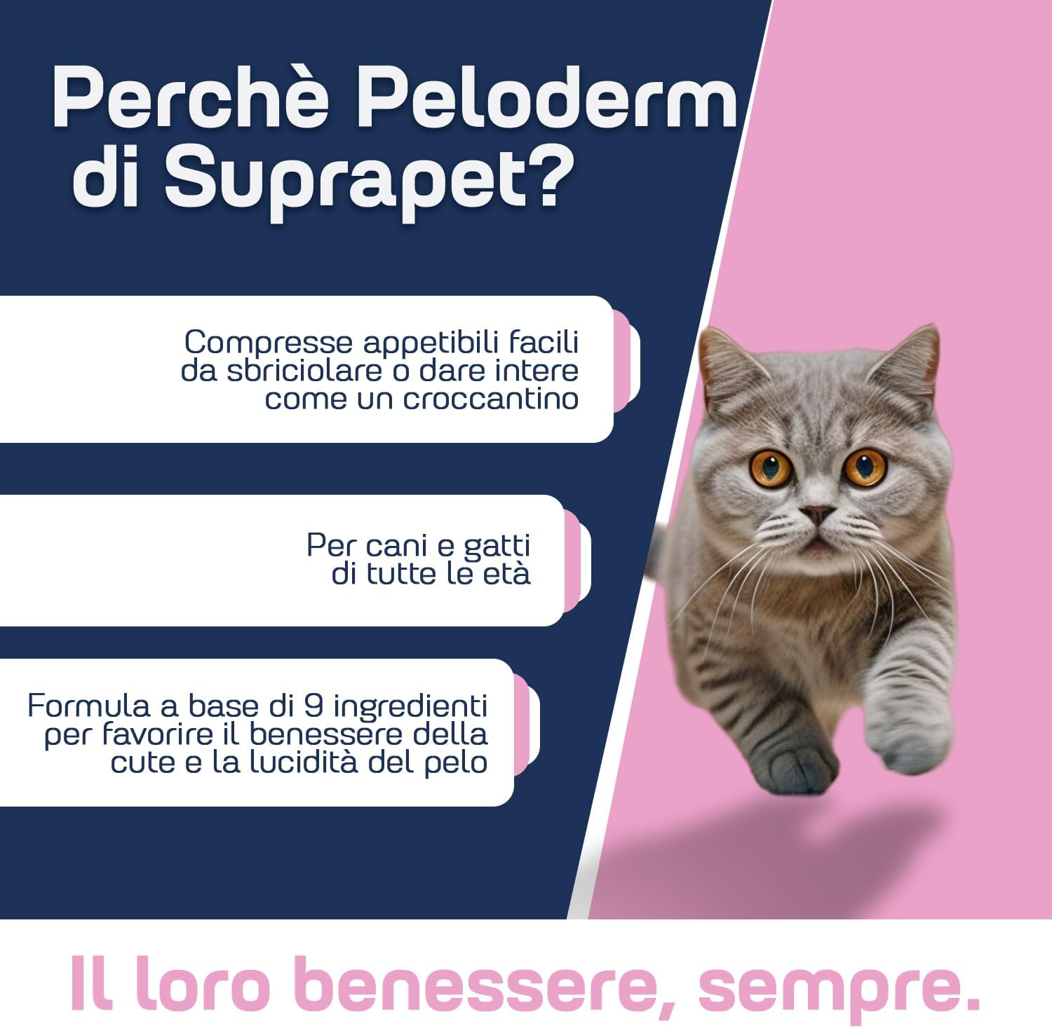 Detalle de Suprapet Peloderm per Cane e Gatto – 30 compresse, benessere cute e pelo
