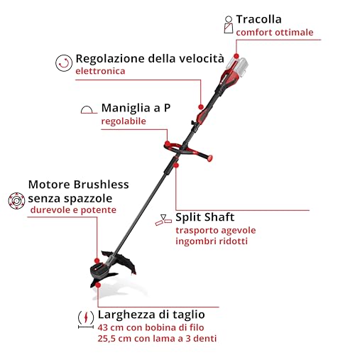 Thumbnail 1 de Einhell GP-BC 36/430 Li BL-Solo: decespugliatore a batteria Power X-Change
