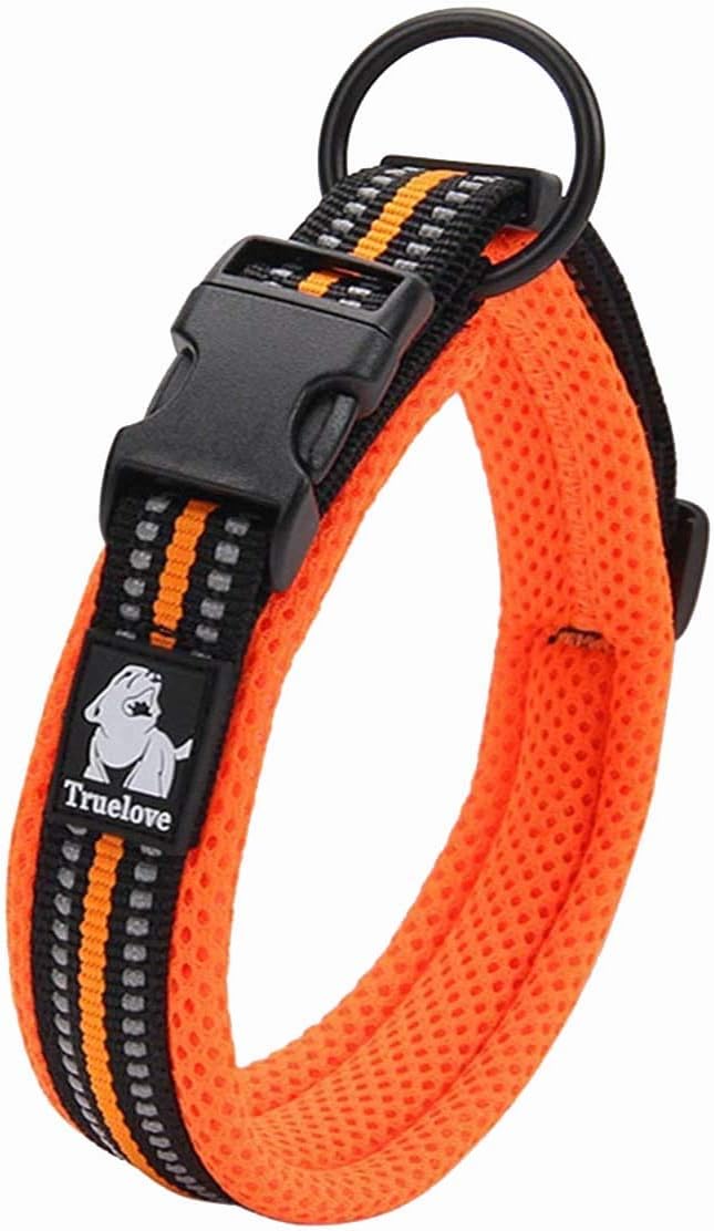 Detalle de Truelove TLC5011 Reflective Premium Buckle Nylon Webbing Dog Collar (2XS, Black)
