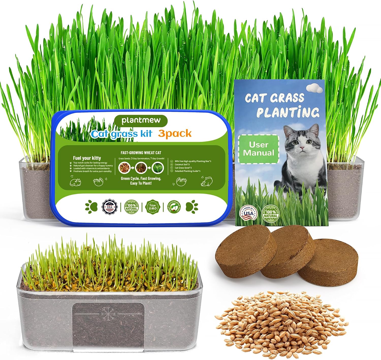Detalle de Cat Grass Growing Kit 3-Pack