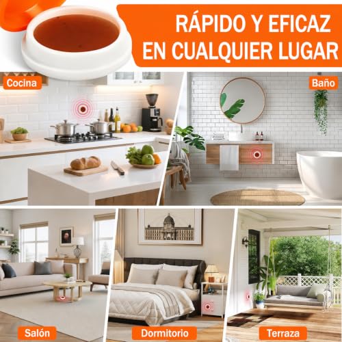 Thumbnail 4 de Jeweeio 60 trampas para hormigas: estaciones de cebo listas para usar para interior y exterior