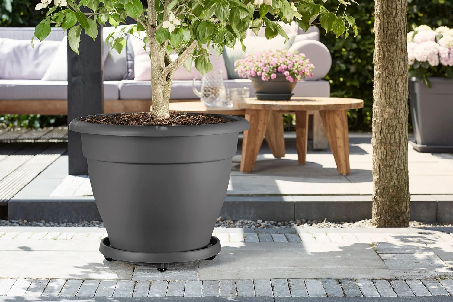 Detalle de Elho Universal Planttaxi 30cm Sottovaso – Anthracite, Ø 28,5 cm x H 6,5 cm