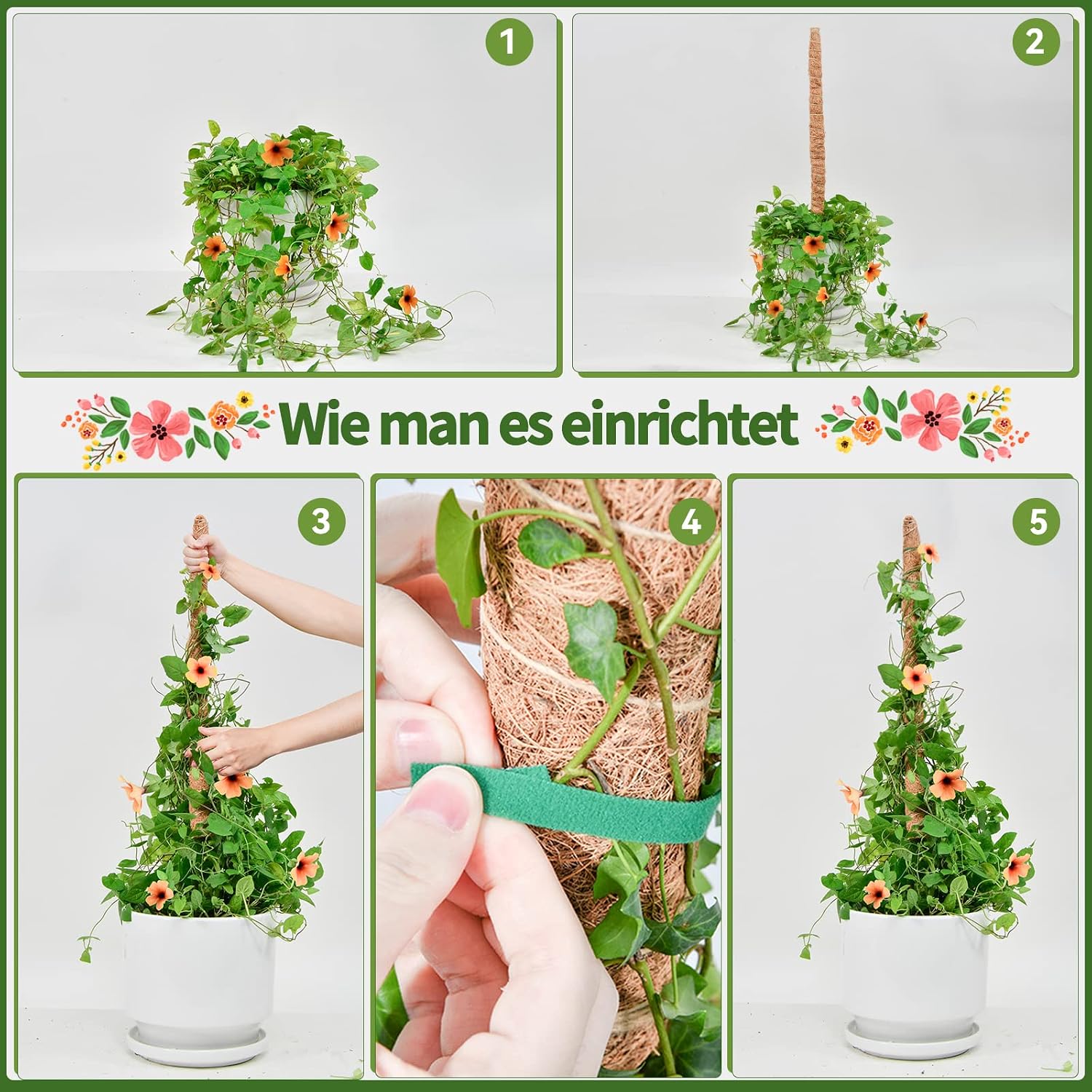 Detalle 2 de Moosstab Monstera von SproutMaven – 2 × 60 cm biegsamer Kokosstab mit Zubehör