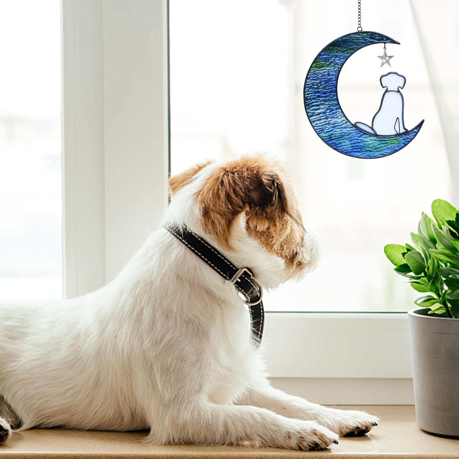 Thumbnail 4 de YT3 Studio Hundesonnenfänger Gedenkgeschenk