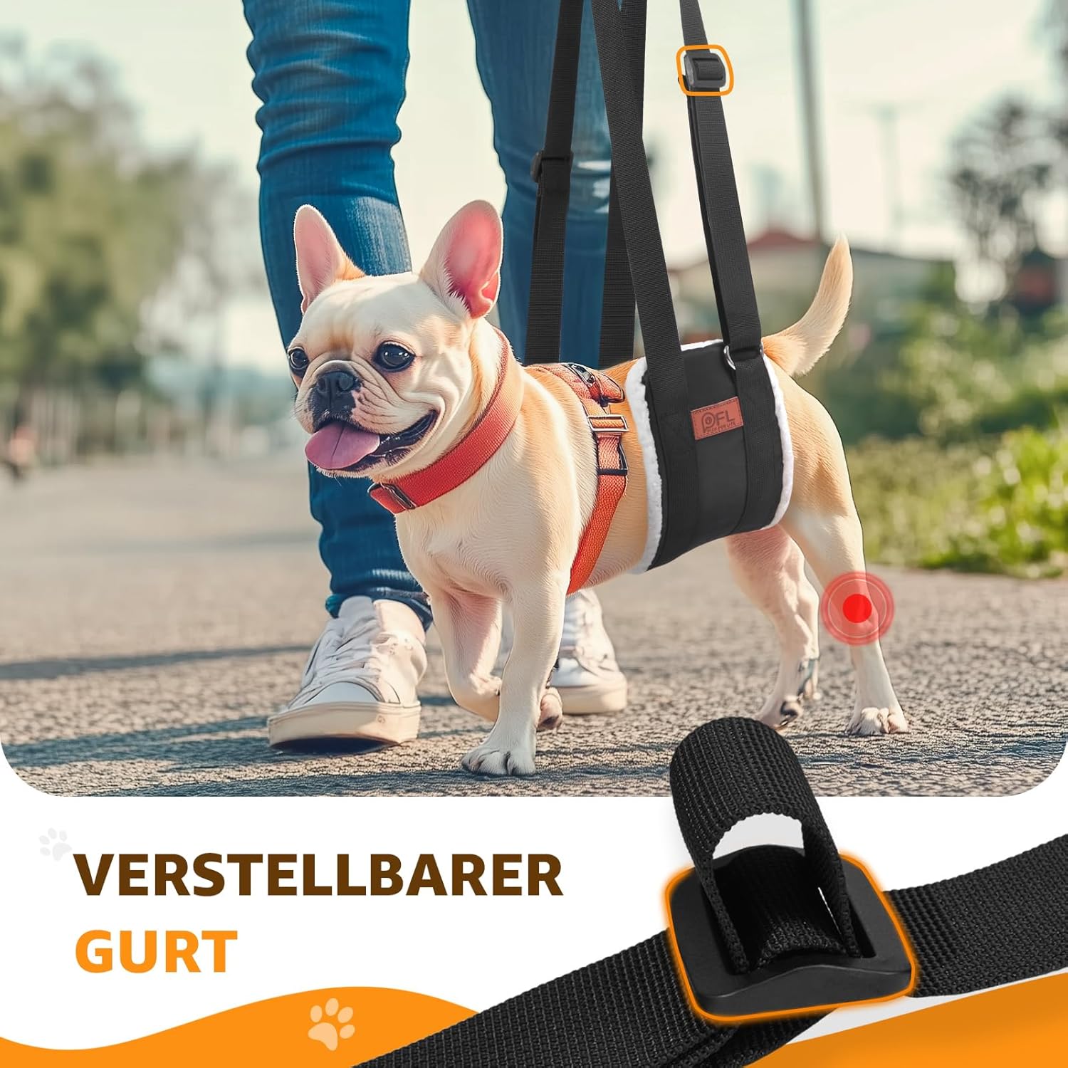 Thumbnail 3 de Verstellbare Hunde Tragehilfe für kleine Hunde