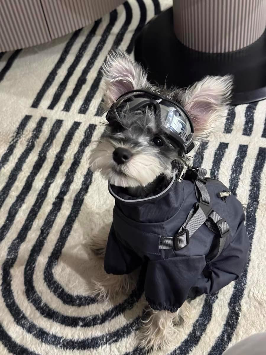 Detalle 2 de Mile High Life Dog Raincoat, Size S
