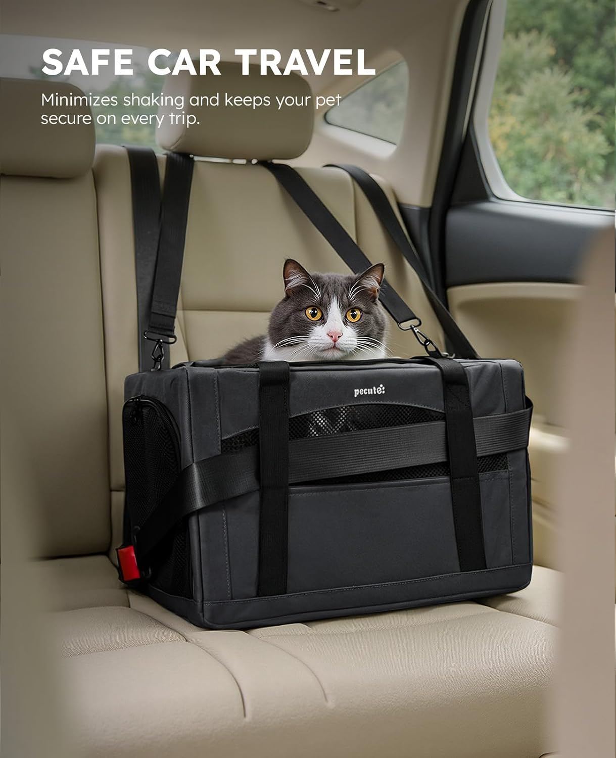 Thumbnail 4 de pecute Cat Carrier XL
