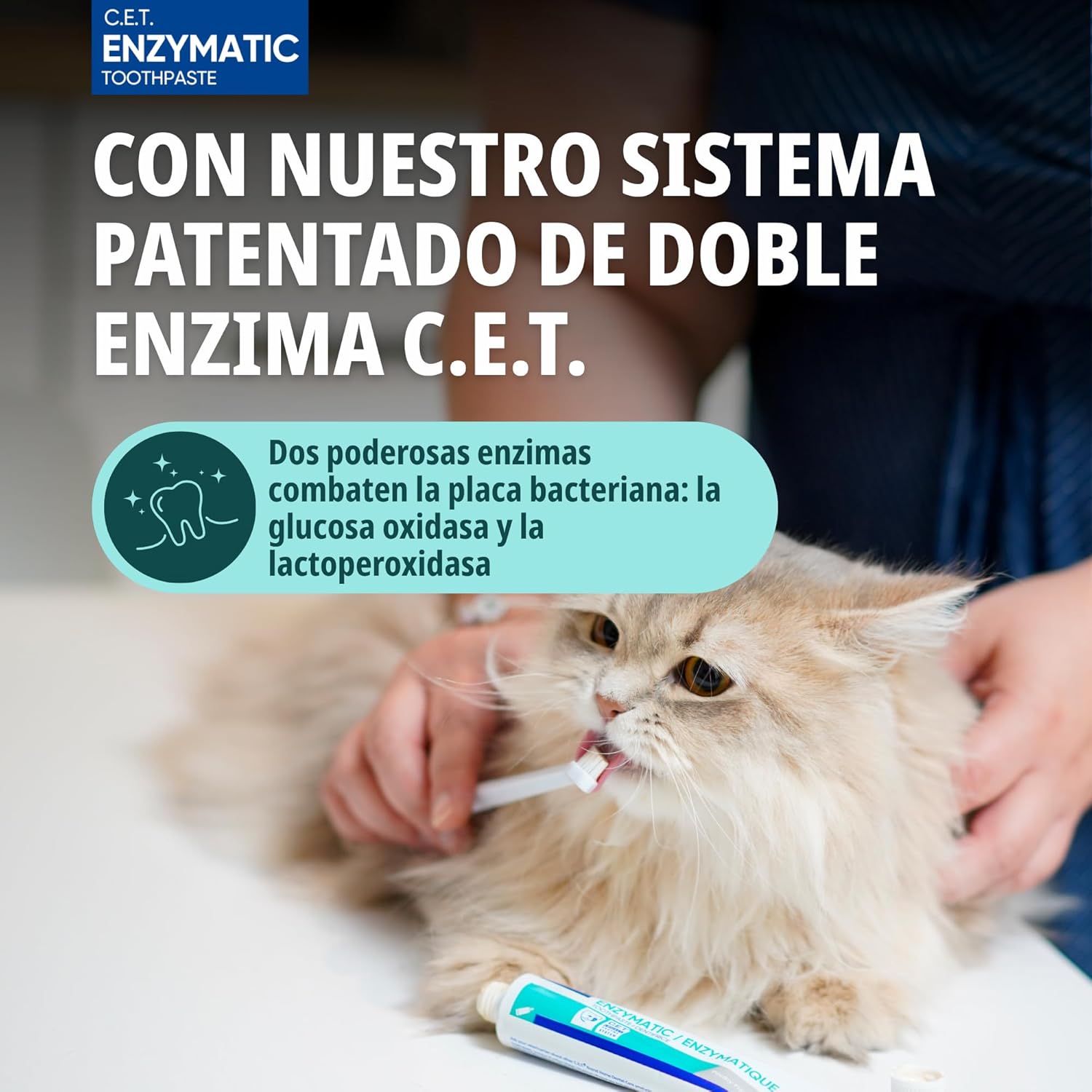 Detalle de Virbac C.E.T dentífrico enzimático 70 gr