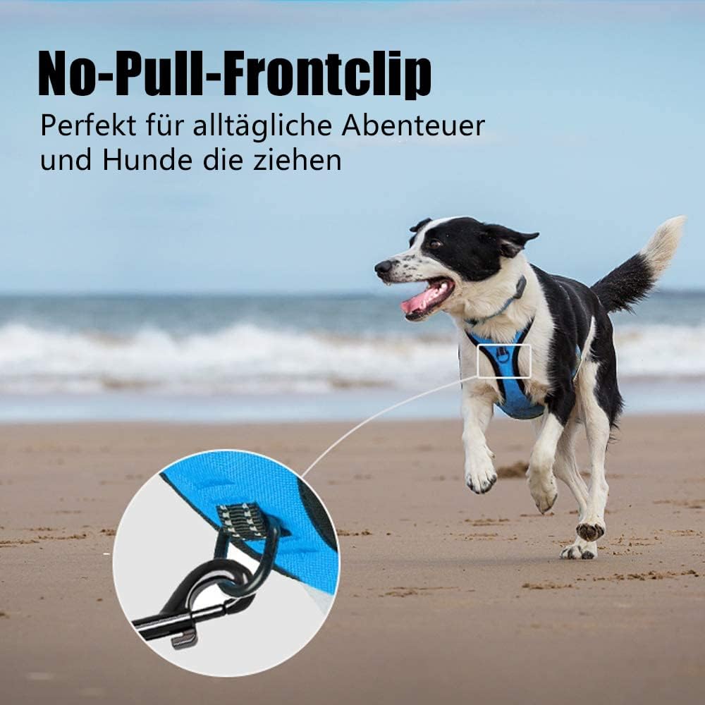 Detalle de PoyPet No Pull Hundegeschirr (blau) mit reflektierenden Elementen, 2 Leinenbefestigungen und Steuergriff – für kleine bis mittelgroße Hunde, XS