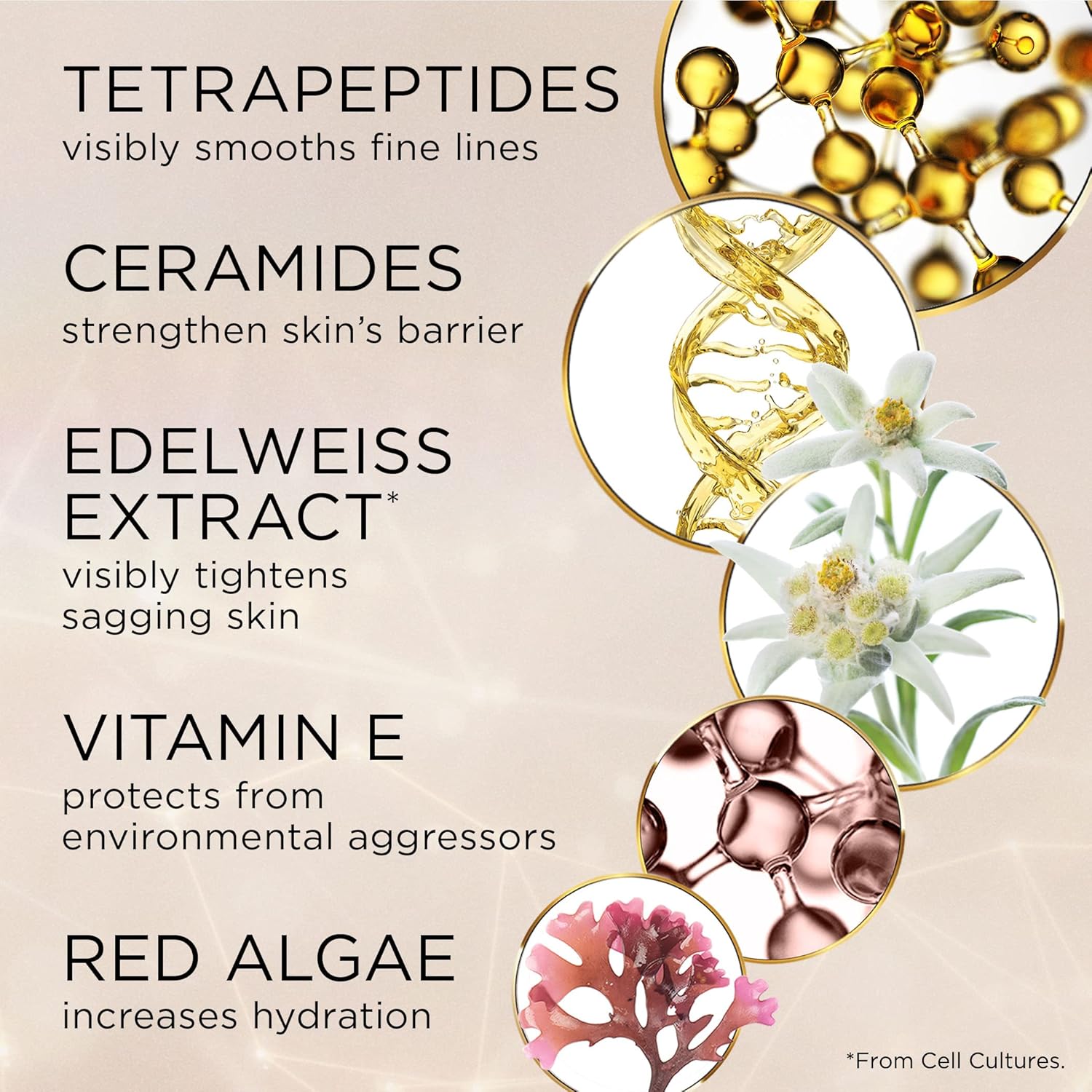 Thumbnail 6 de Elizabeth Arden Advanced Ceramide Eye Cream 15ml