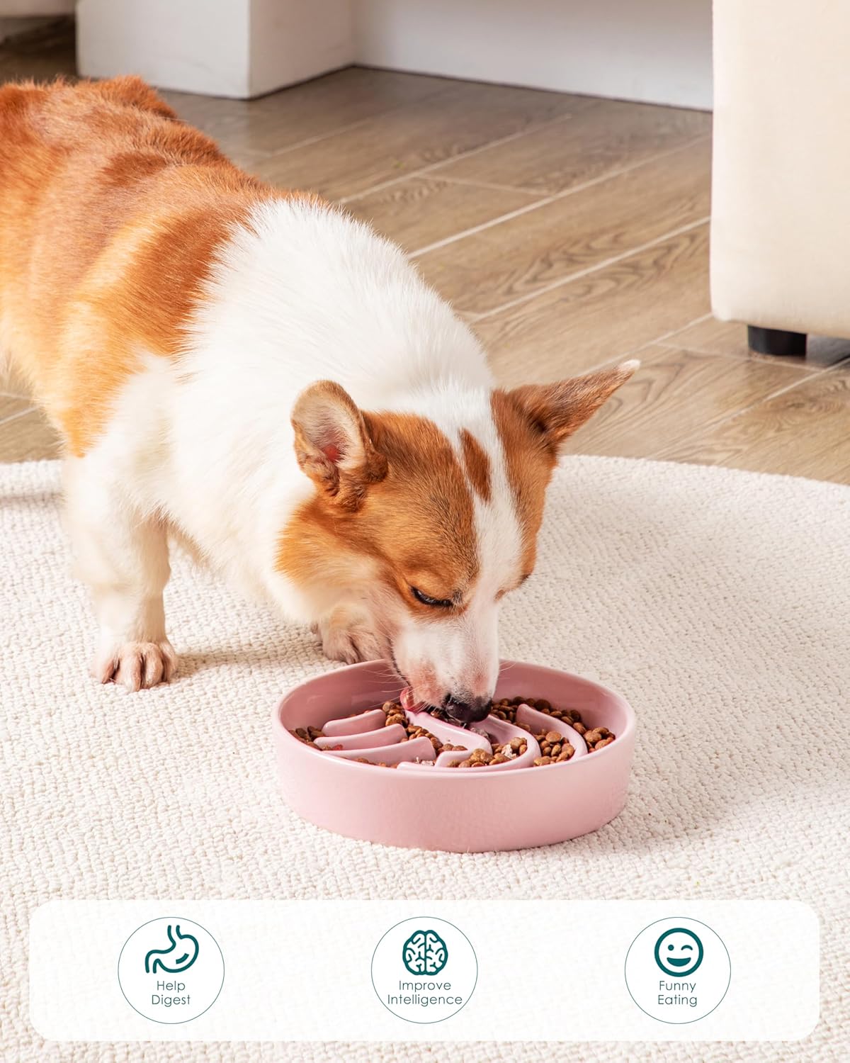 Thumbnail 6 de Vancasso Slow Feeder Ceramic Bowl for Small Pets (1.5 Cup) – Pink