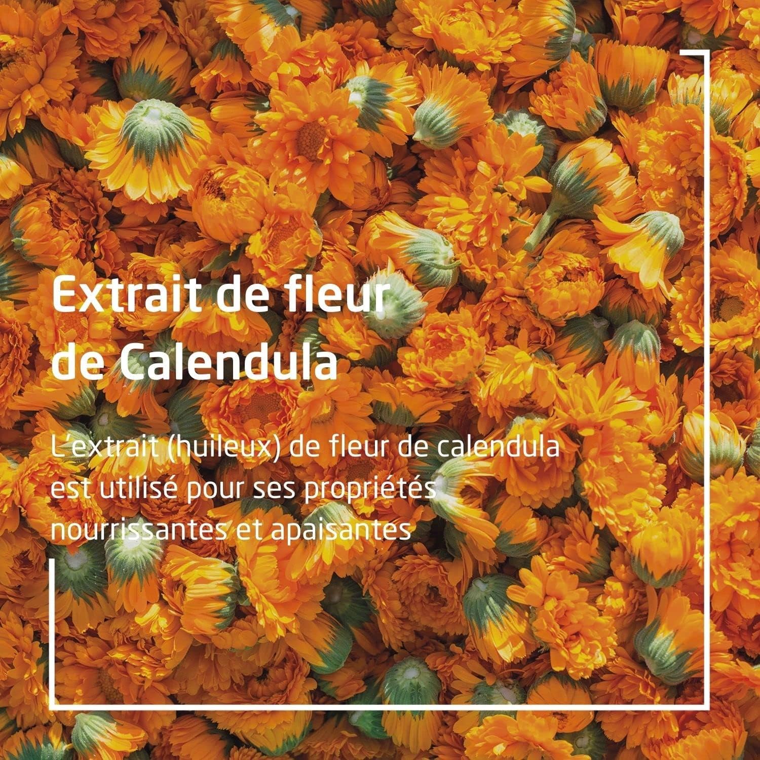 Detalle de WELEDA Lait corporel Calendula 200 ml