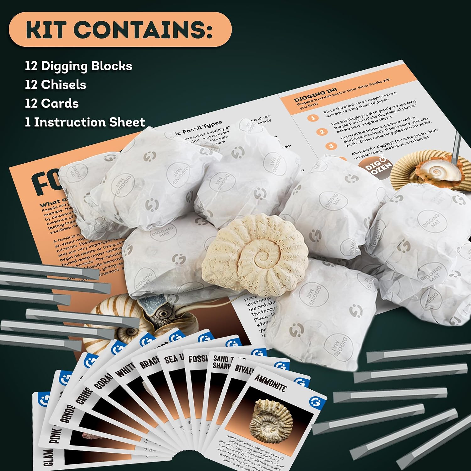 Detalle de Gamerside Fossil Digging Kit, 12 Fossils