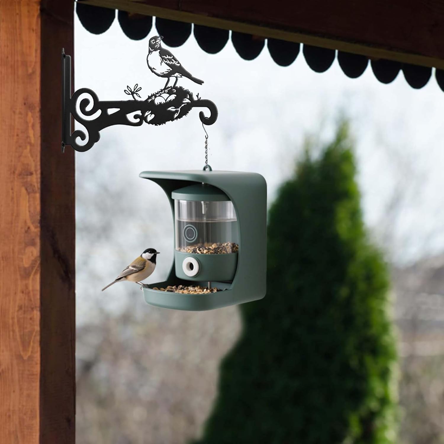 Thumbnail 1 de Metal plant hanger hooks, 30 lb capacity