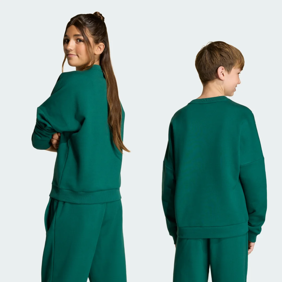 Detalle de Sudadera de cuello redondo holgada BLOCKED de Adidas – Verde
