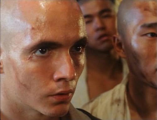 Detalle de American Shaolin – WME Home Entertainment