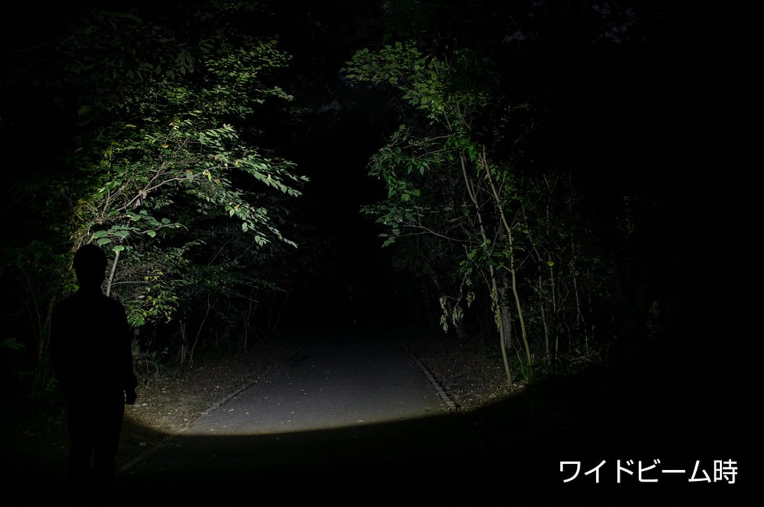 Thumbnail 6 de GENTOS CP-131D LEDヘッドライト 120ルーメン・単3形/単4形電池対応