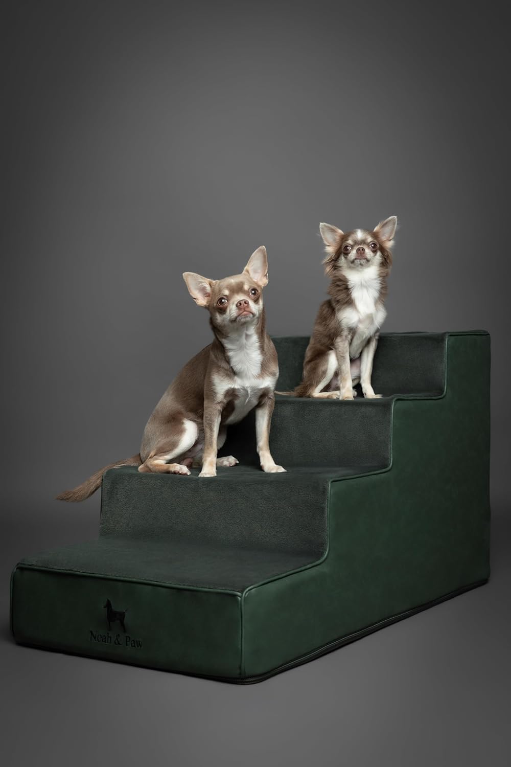 Thumbnail 4 de Noah & Paw Dog Stairs Leather Collection: 17" Extra-Wide 4-Step Dog Ramp for High Beds