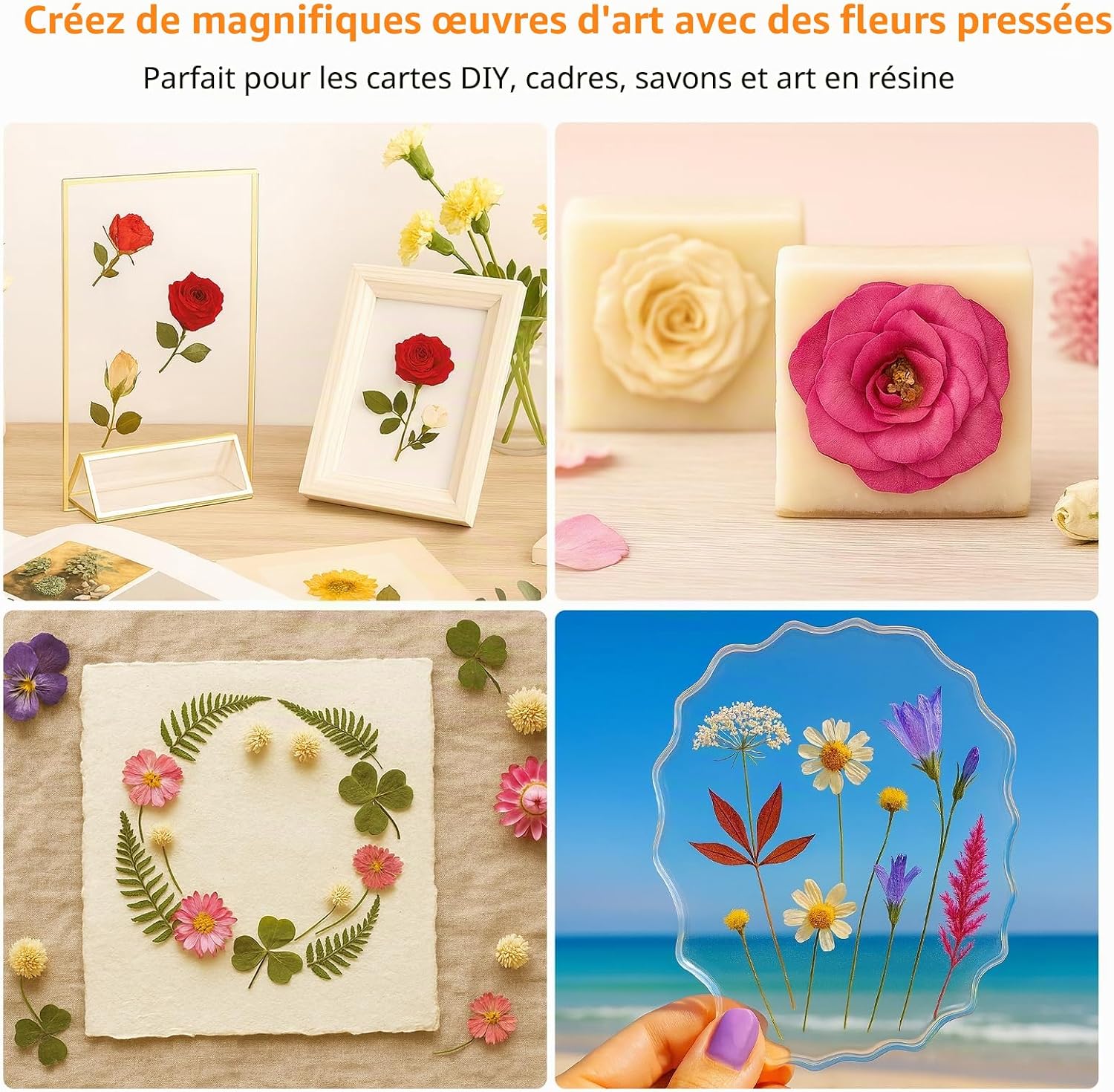 Detalle de Kit de presse à fleurs en bois pour plantes – 27,5 x 27,5 cm