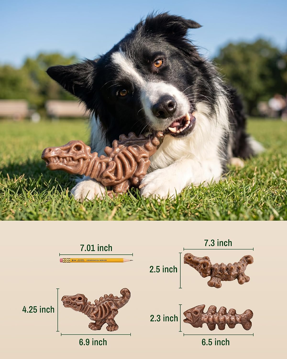 Thumbnail 2 de ChienBox Dog Chew Toys, Nylon