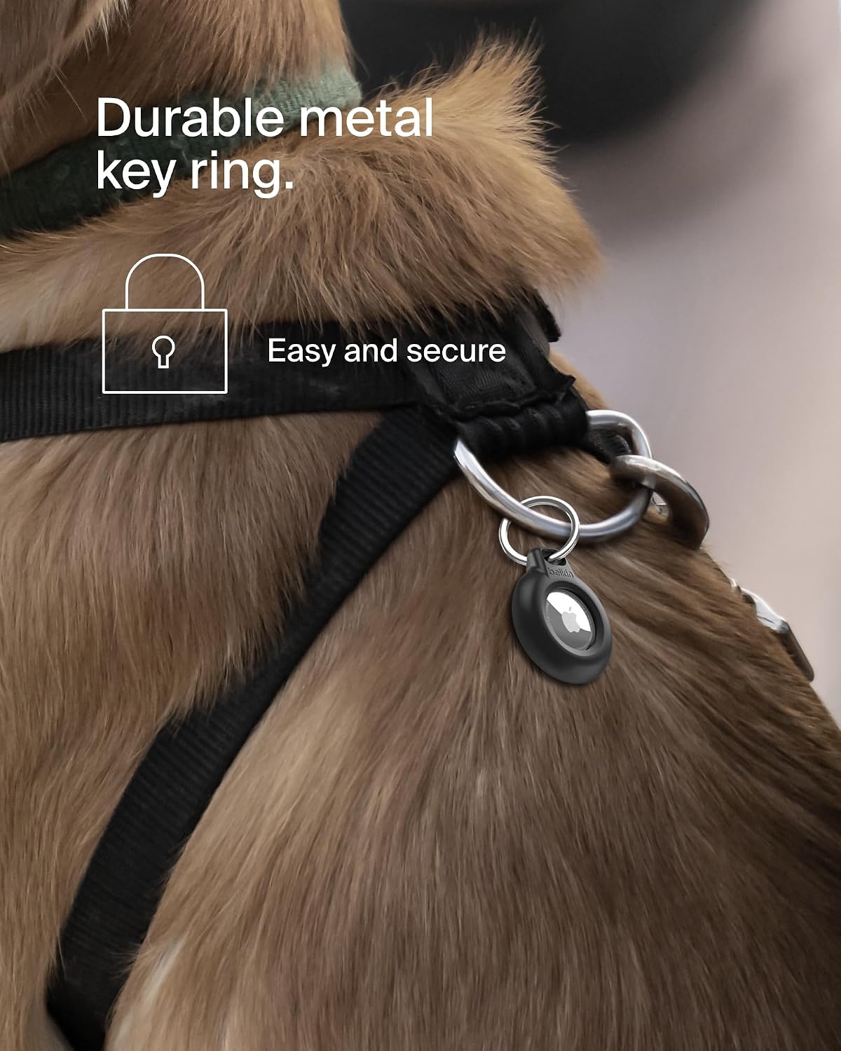 Detalle 2 de Belkin Anneau de protection étanche IPX8 AirTag