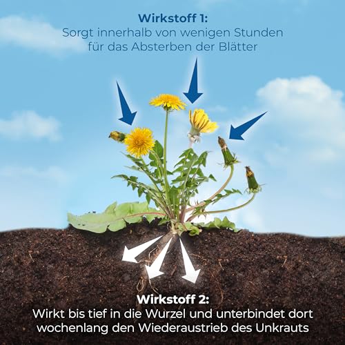 Detalle 2 de PROTECT GARDEN Permaclean Duo Unkrautvernichter, 1000 ml Konzentrat – Zweifach-Wirksystem gegen Unkraut, Algen und Moose