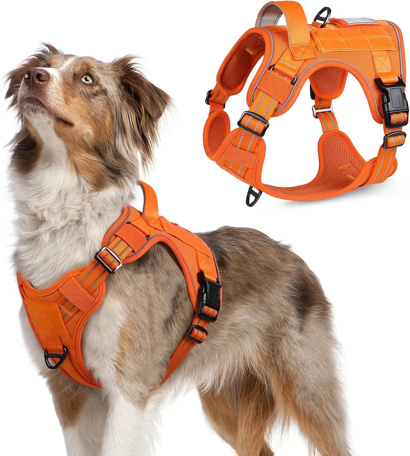 Detalle de rabbitgoo Hundegeschirr M (mittelgroße bis große Hunde) verstellbar, Anti-Zug, mit Metallschnallen und Tragegriff – Orange