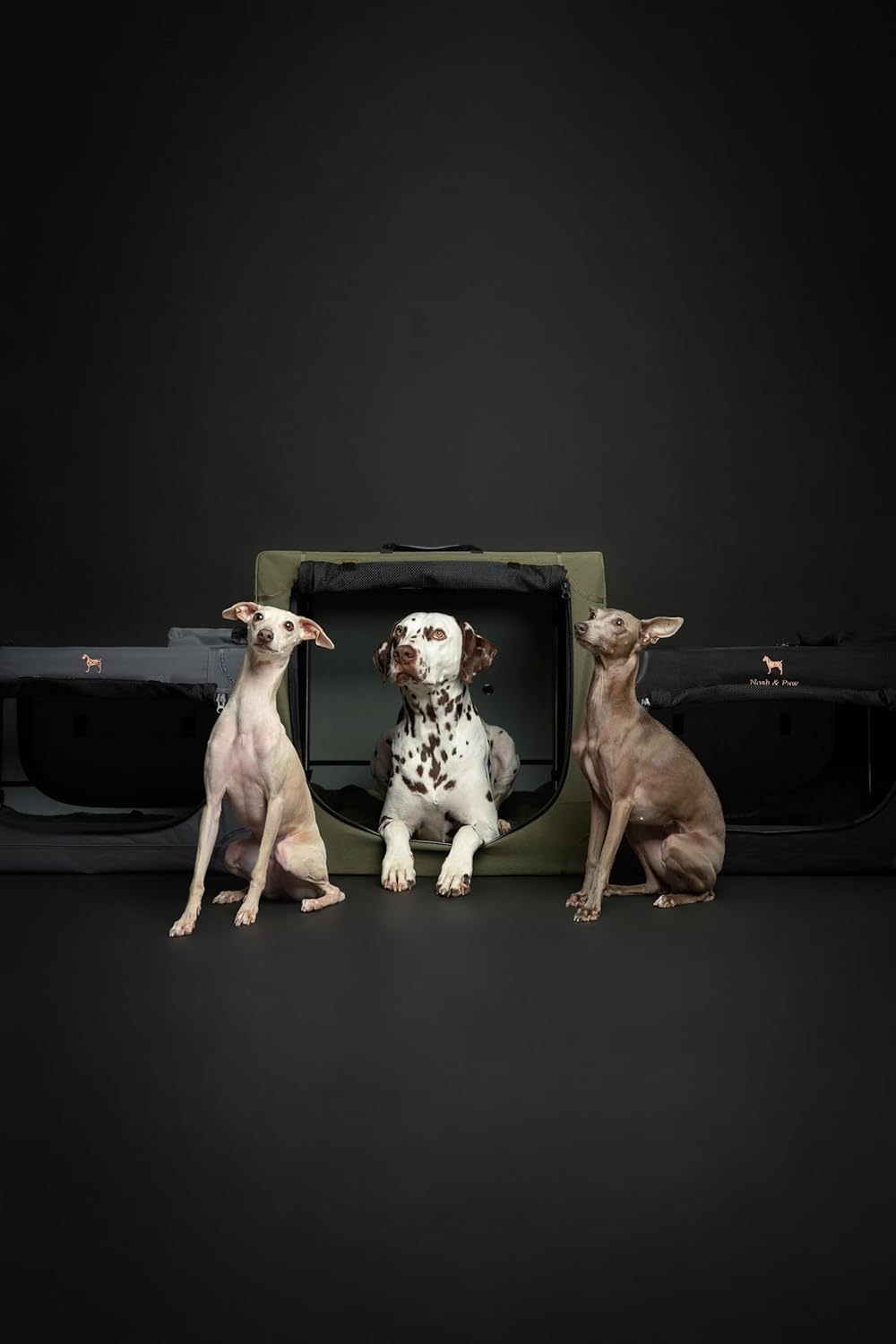 Thumbnail 6 de Noah & Paw Collapsible Dog Crate 26 Inch – Sturdy travel kennel for small to medium dogs