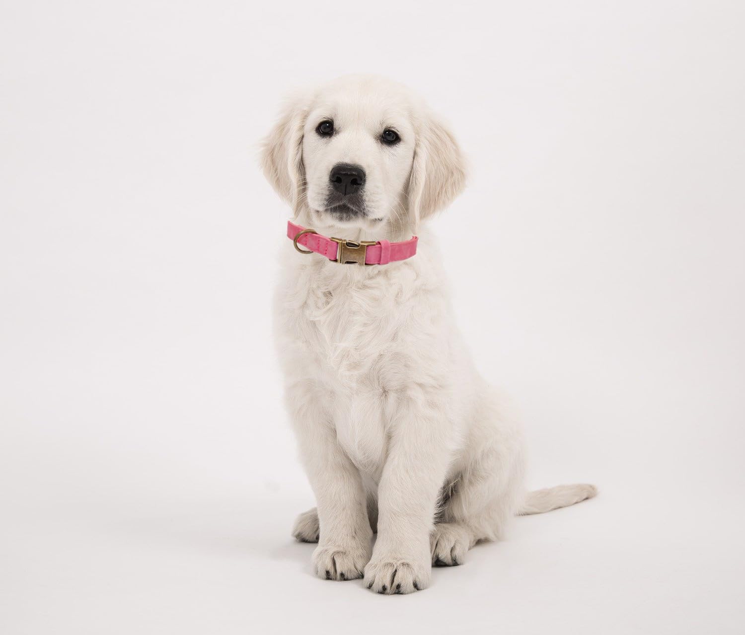 Detalle de THAIN Soft Leather Dog Collar, Pink, L