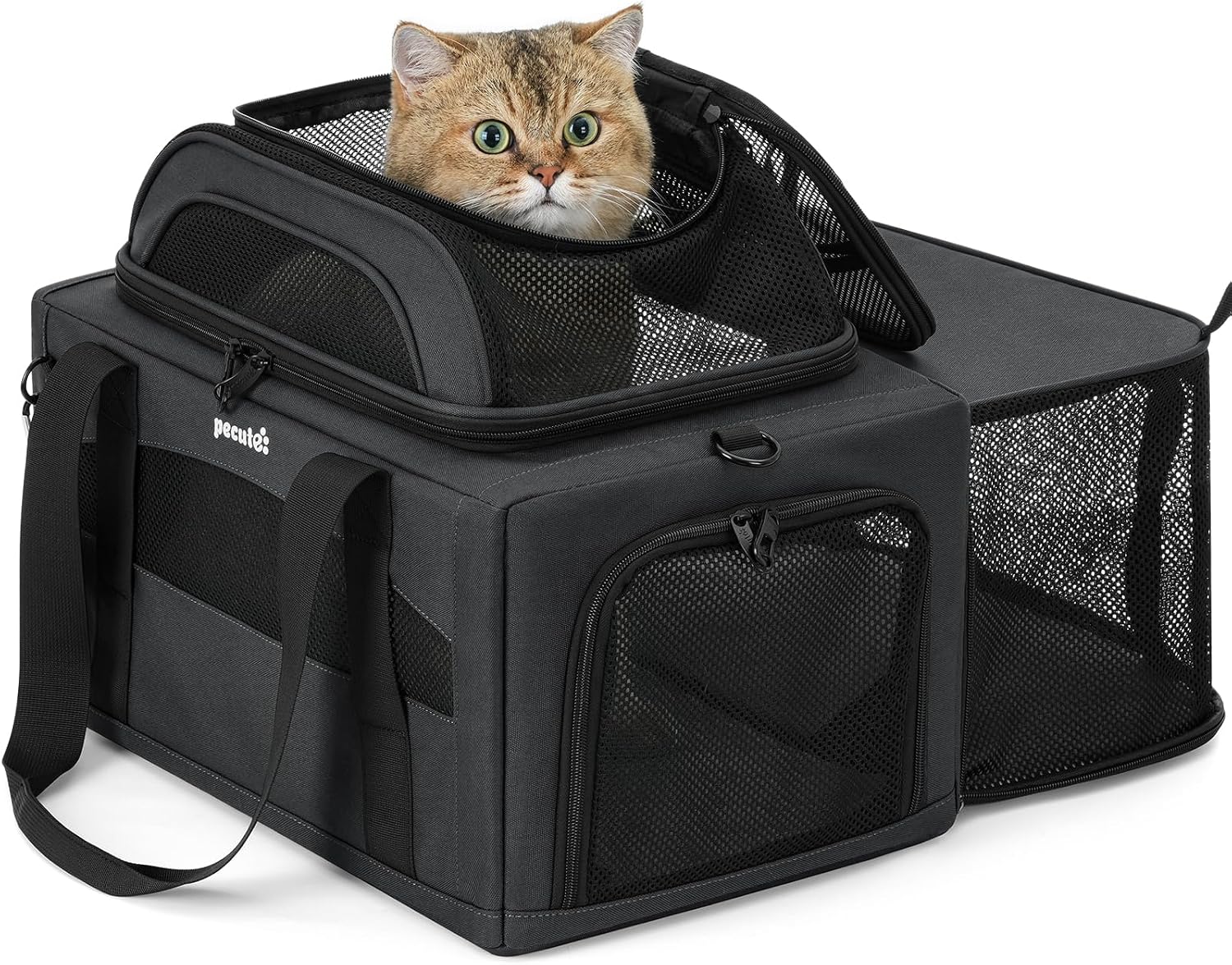 Pecute Sac de Transport pour Chat – Tapis Pipi imperméable, extensible et pratique