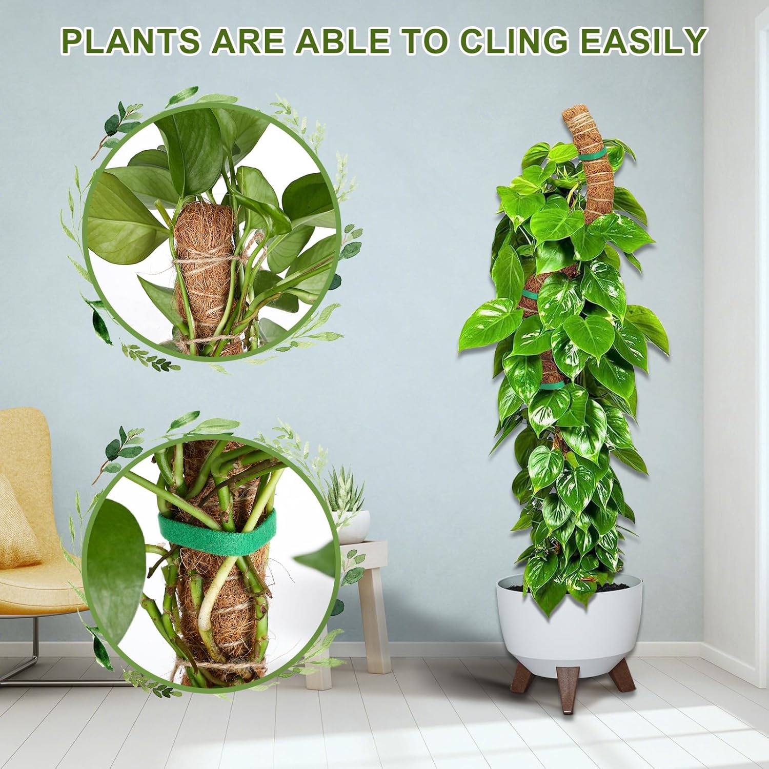 Thumbnail 2 de Joaercs Moss Pole 60 cm plant support for climbers