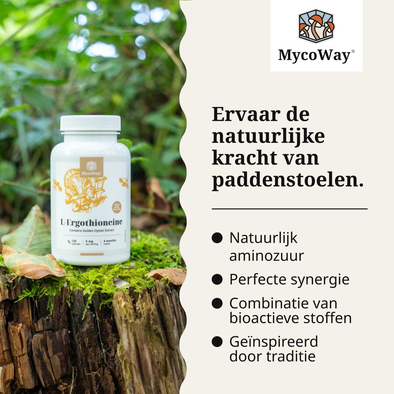 Detalle de MycoWay L-ergothioneïne 5 mg capsules met gele-oesterzwamextract, 120 stuks