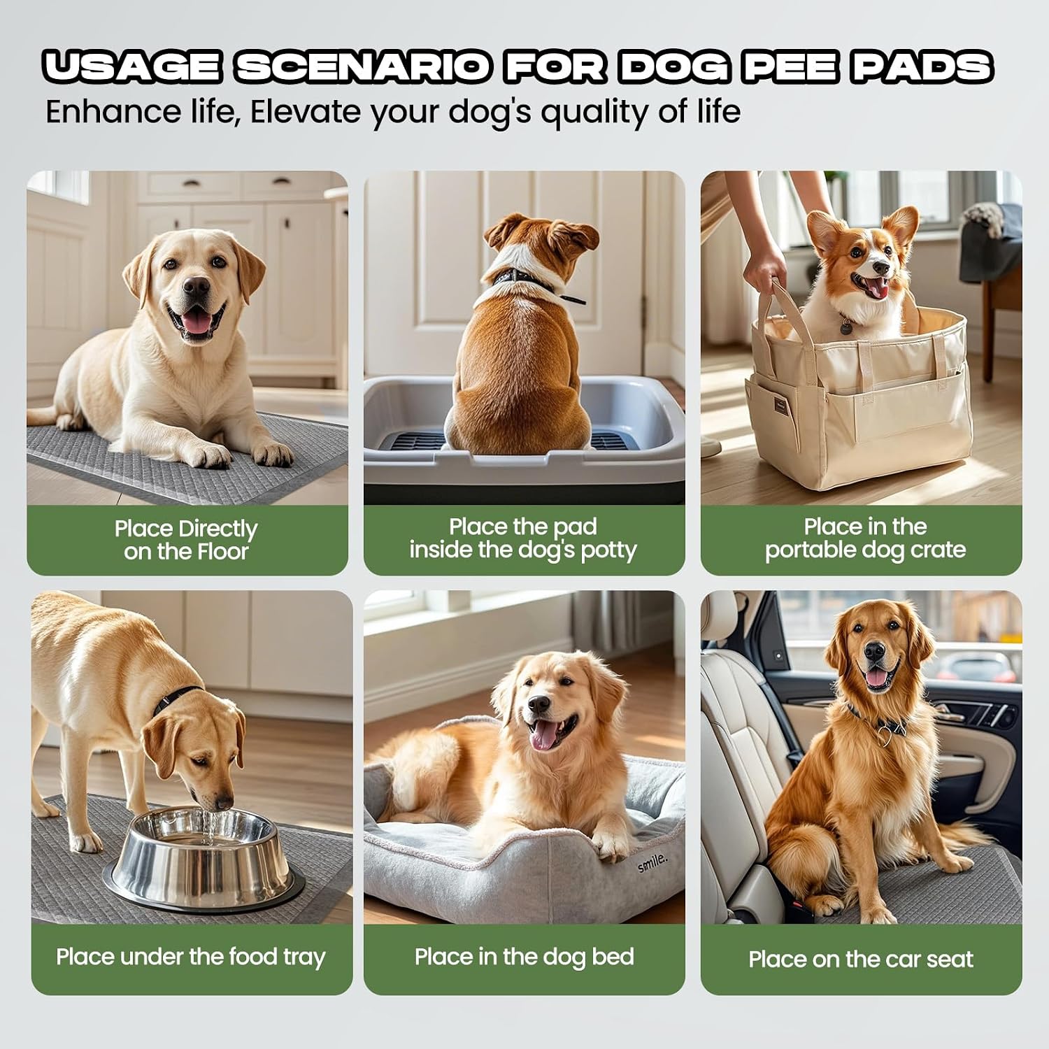 Thumbnail 6 de DOGGO DOUG XXL Charcoal Dog Pee Pads, 30" x 36", with Adhesive Tabs