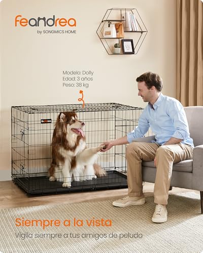 Thumbnail 1 de Feandrea Jaula para perros plegable XXL con 2 puertas y bandeja extraíble (PPD48H)