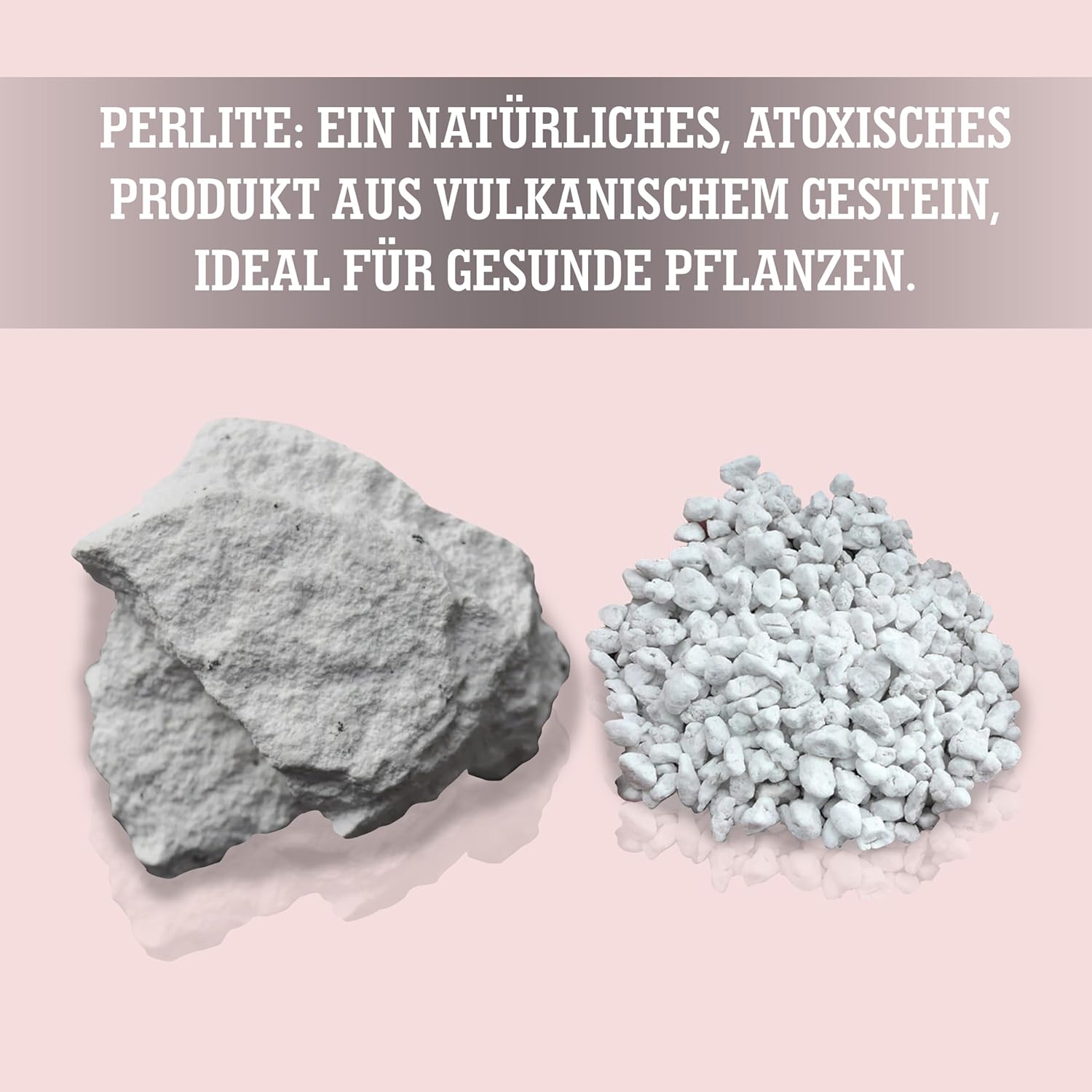 Thumbnail 1 de LERAVA® Perlite für Pflanzen (8L) – Grobkörniger Perlit zur Bodenverbesserung