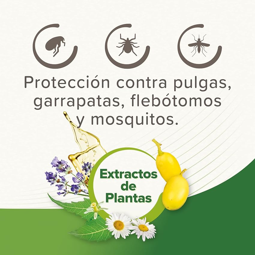 Thumbnail 4 de Beaphar Pipetas repelentes para perros grandes 2 ml 🐶