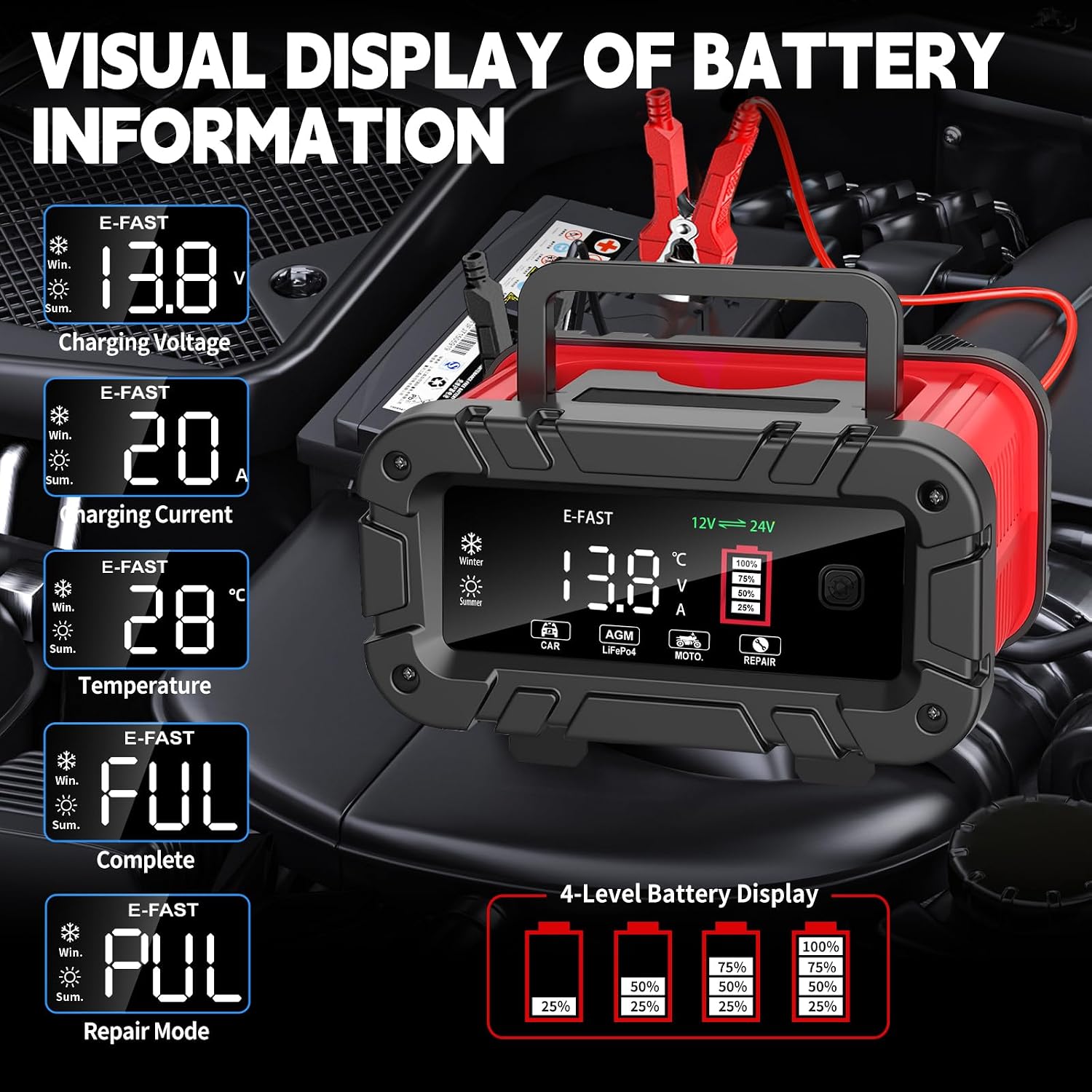 Detalle 2 de E-FAST Battery Charger 12/24V