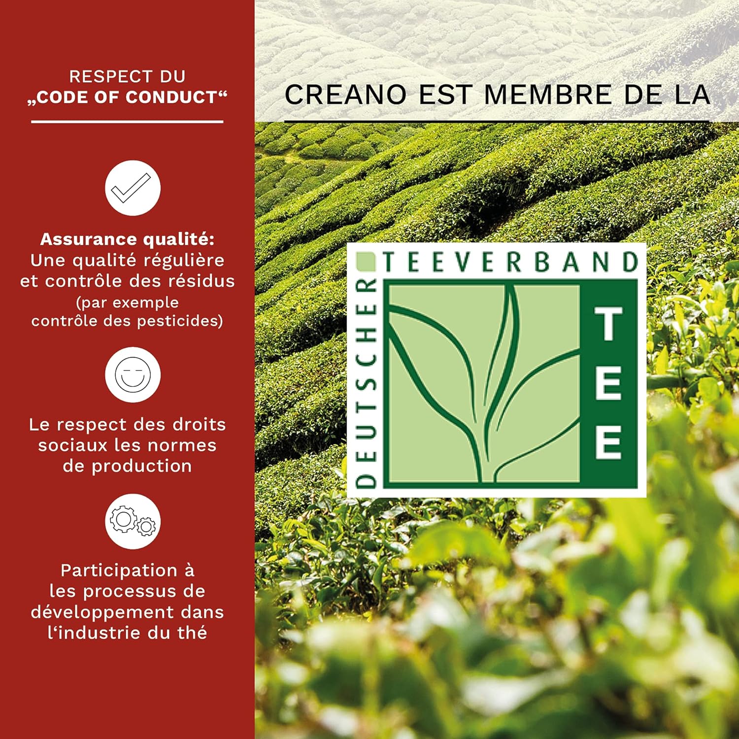 Thumbnail 4 de Creano Fleurs de Thé 0,5 l 🍵