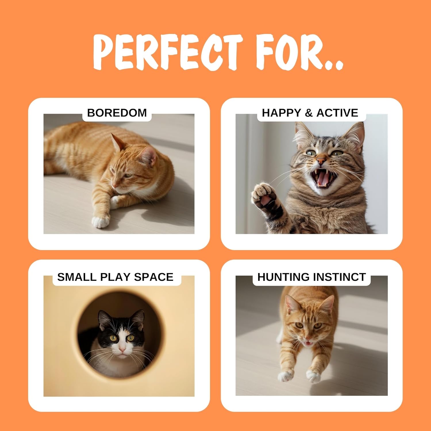 Thumbnail 3 de Hubspace Interactive Cat Toys for Indoor Cats: Automatic Moving Plush Ball with Bird Chirping