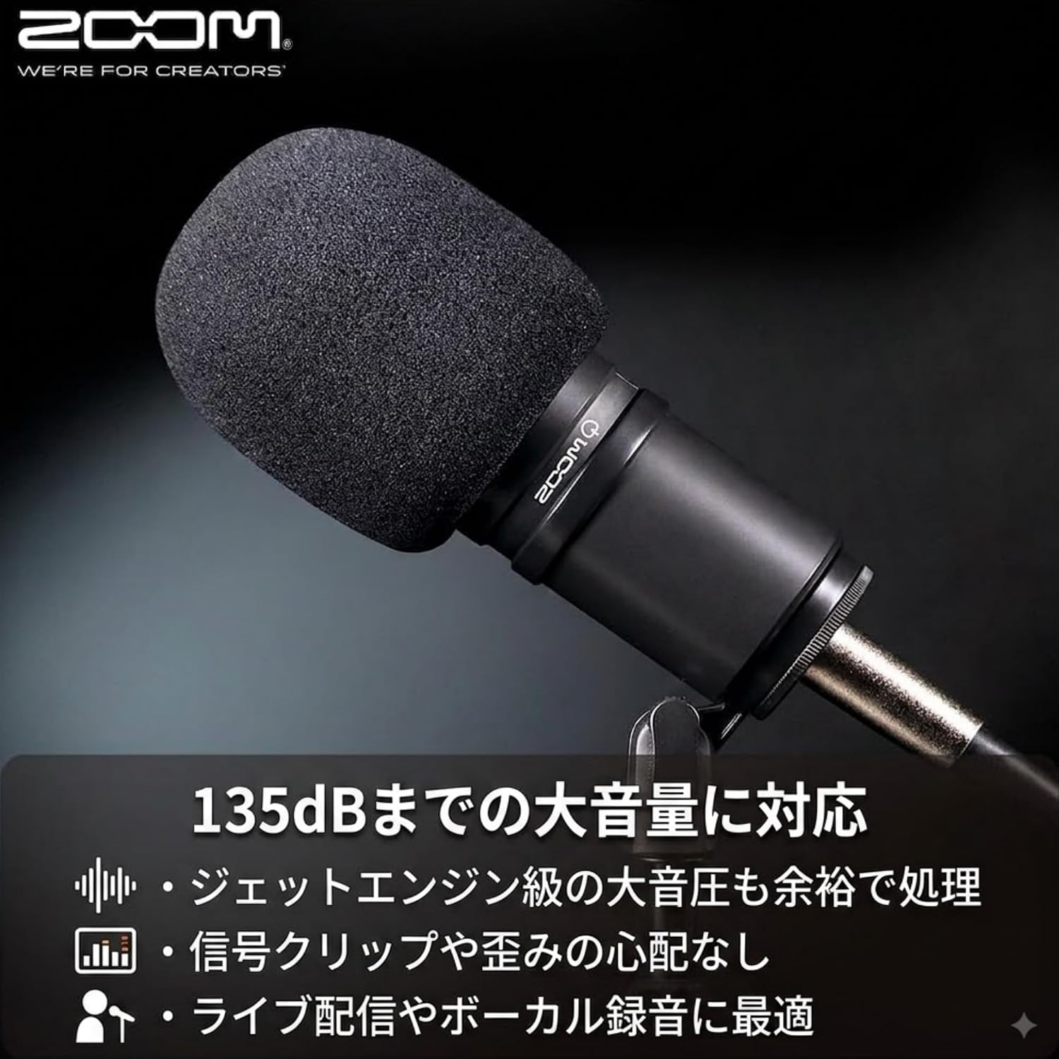 Detalle 1 de ZOOM ZDM-1 ダイナミックマイク XLR接続・スーパーカーディオイド・135dB対応