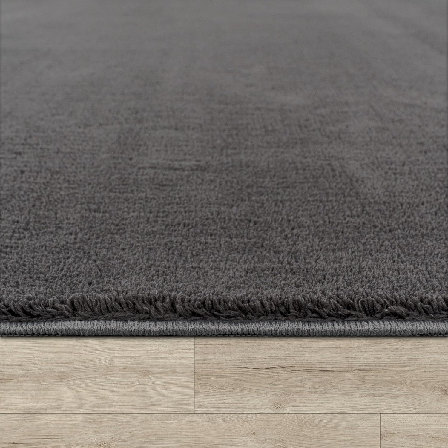 Thumbnail 1 de Paco Home moderner Wohnzimmer-Teppich mit Kurzflor, 300x400 cm, anthrazit – waschbar & rutschfest