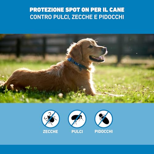 Detalle de Frontline Spot On Cani x3 (20-40 kg) – Antiparassario efficace contro pulci e zecche